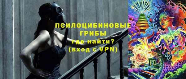твердый Приозерск