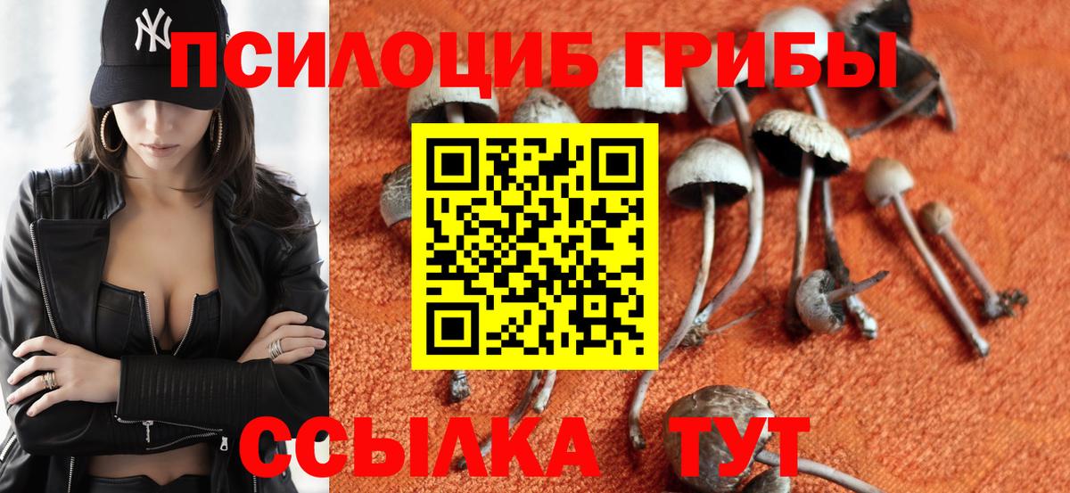 Псилоцибиновые грибы GOLDEN TEACHER Стрежевой